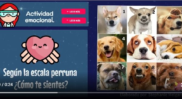 ¿Cómo te sientes? Según la escala perruna.